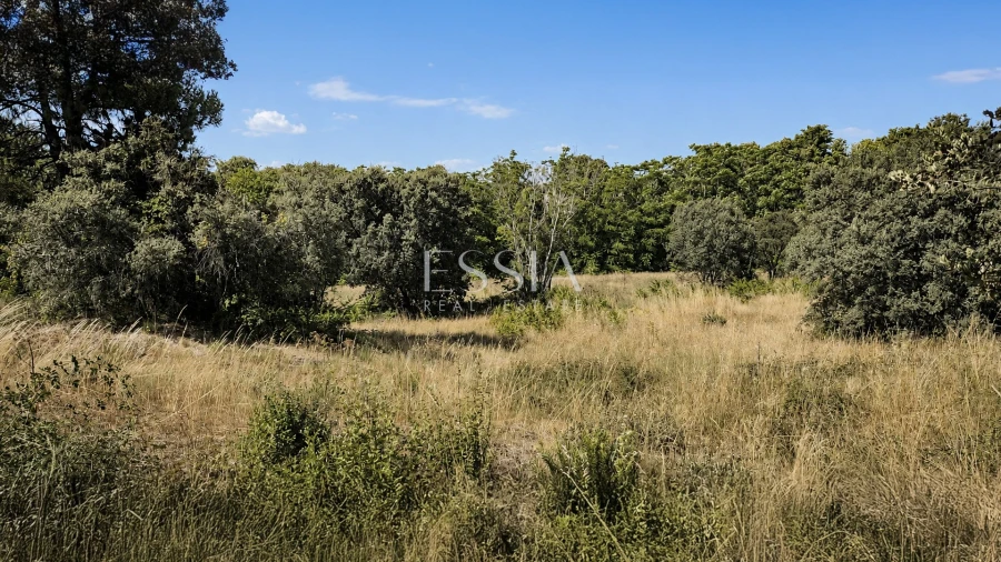 Quinta T4 para Venda em São Pedro e Santa Maria e Vila Boa do Mondego Foto 9
