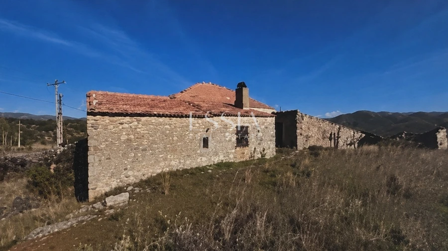 Quinta T4 para Venda em São Pedro e Santa Maria e Vila Boa do Mondego