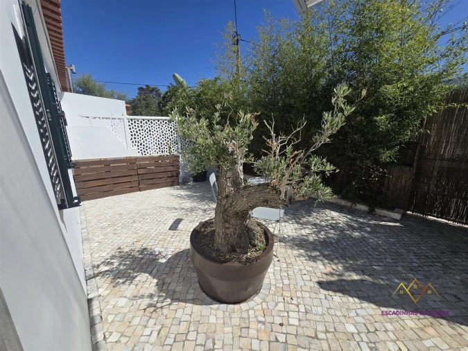 Apartamento T1 para Arrendamento em Santa Maria e São Miguel, São Martinho, São Pedro Penaferrim Foto 2