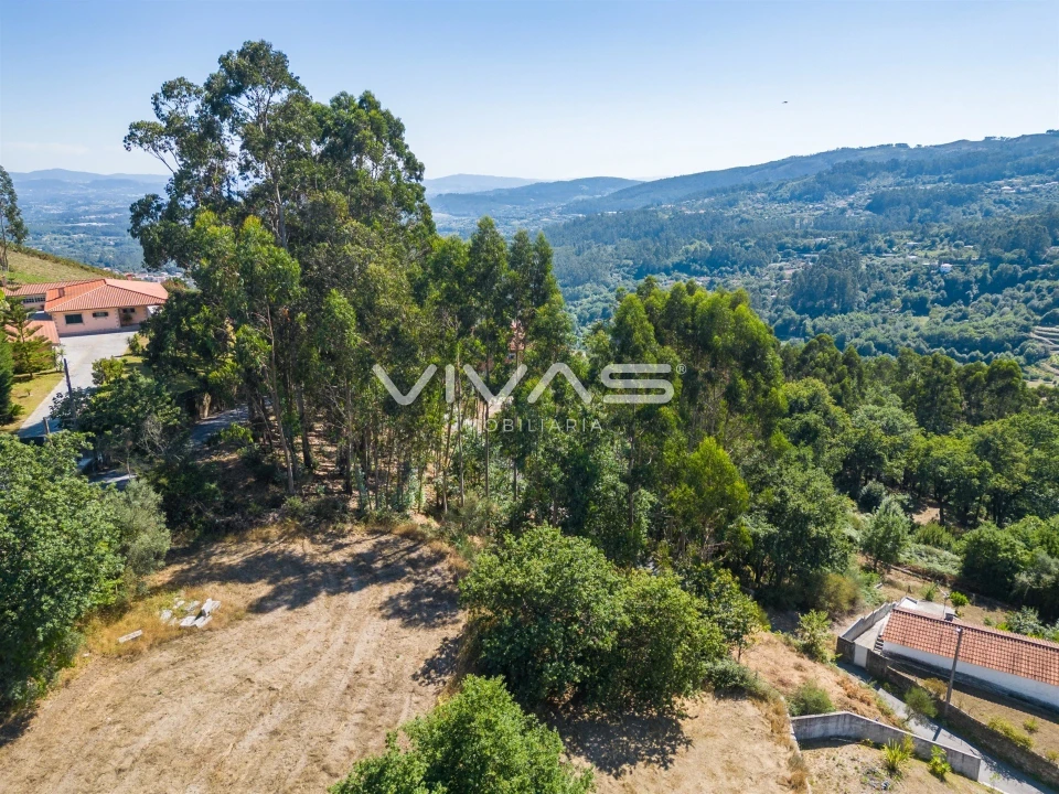 Terreno para Venda em Vade Foto 13
