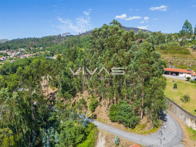 Terreno para Venda em Vade Foto 16