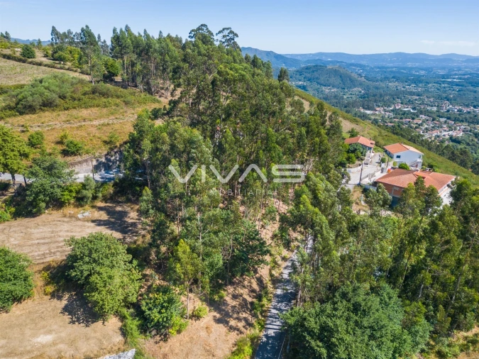 Terreno para Venda em Vade Foto 6