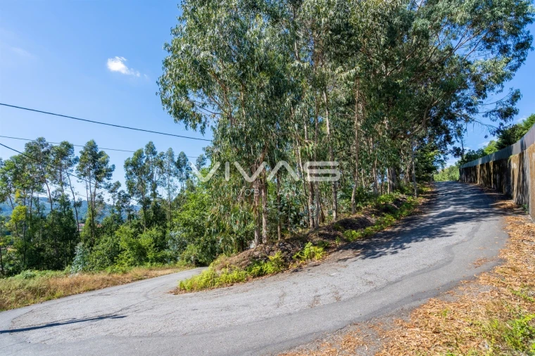 Terreno para Venda em Vade Foto 19