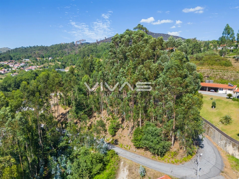 Terreno para Venda em Vade Foto 16