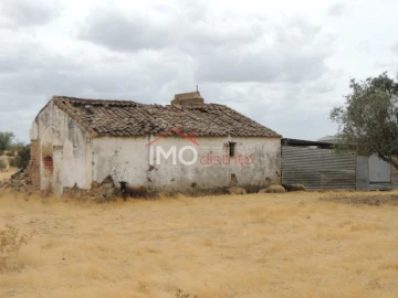 Quinta T0 para Venda em Vaiamonte