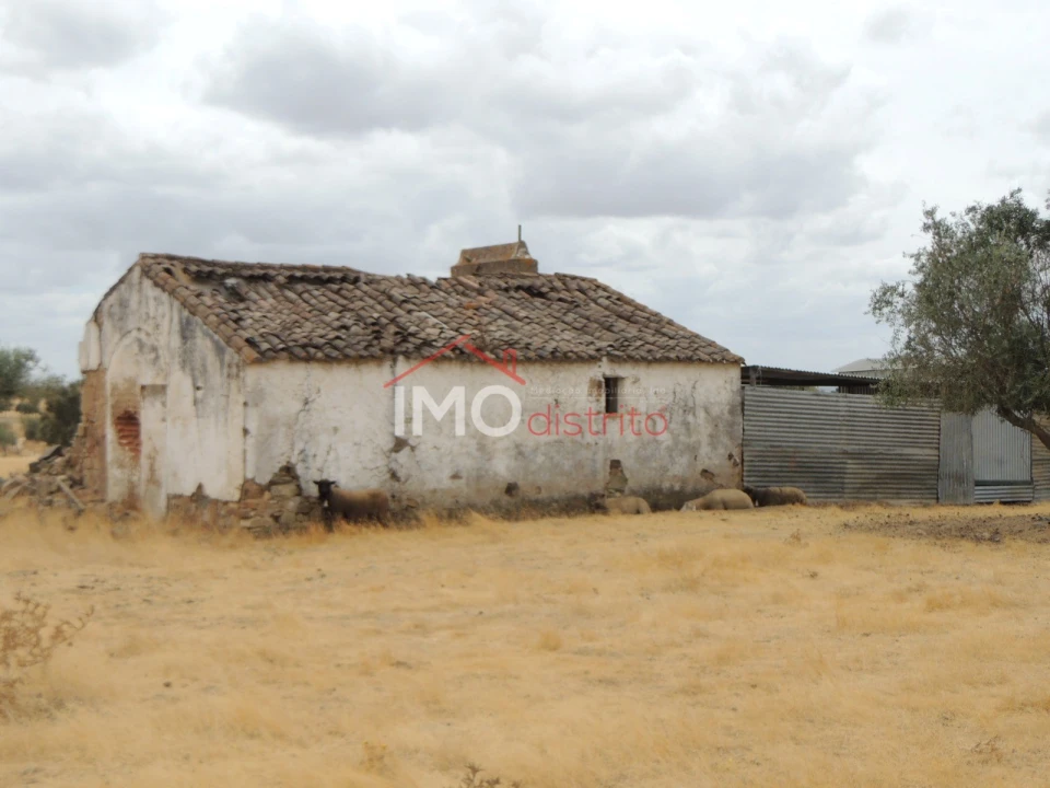 Quinta T0 para Venda em Vaiamonte Foto 3