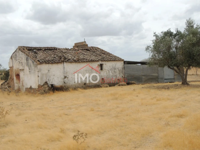 Quinta T0 para Venda em Vaiamonte Foto 4