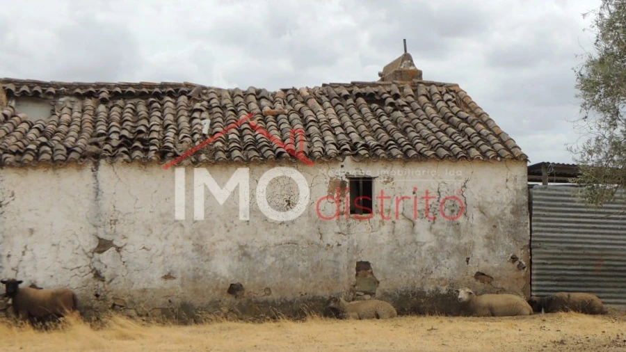 Quinta T0 para Venda em Vaiamonte