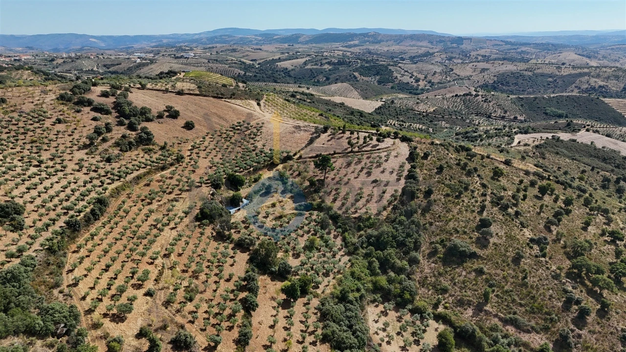 Terreno Agricola ou Rústico para Venda em Alfandega da Fe Foto 6