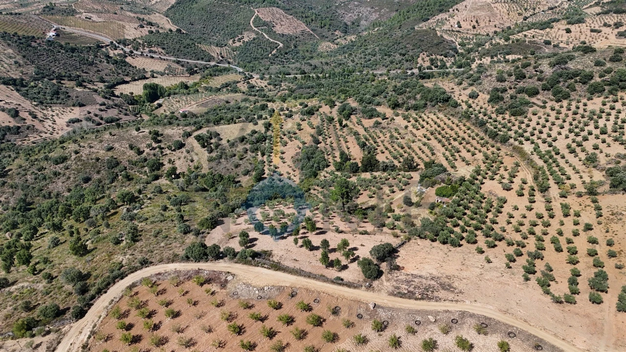 Terreno Agricola ou Rústico para Venda em Alfandega da Fe Foto 4