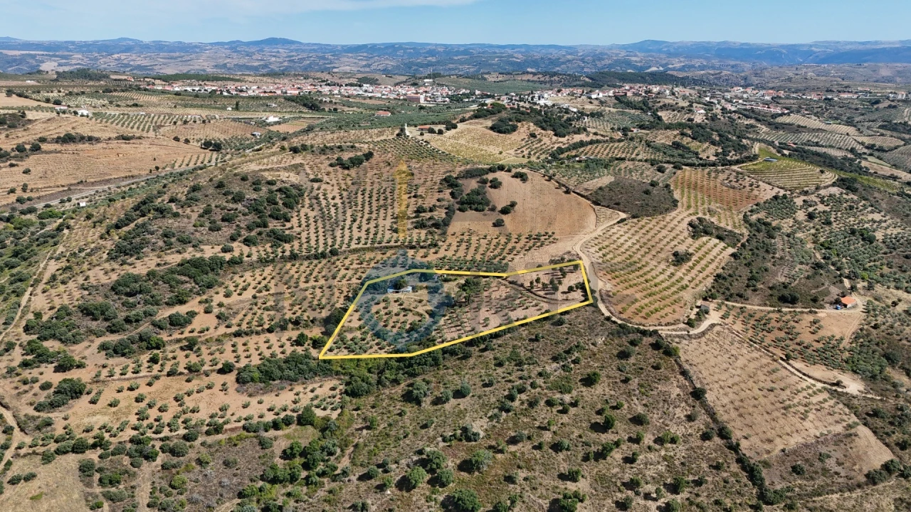 Terreno Agricola ou Rústico para Venda em Alfandega da Fe Foto 1