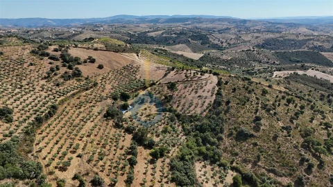 Terreno Agricola ou Rústico para Venda em Alfandega da Fe