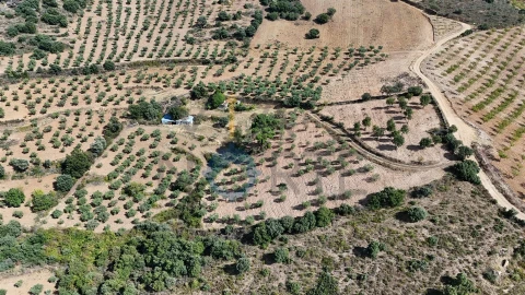 Terreno Agricola ou Rústico para Venda em Alfandega da Fe