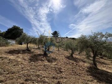 Terreno Agricola ou Rústico para Venda em Alfandega da Fe