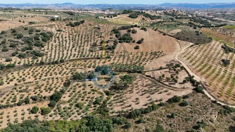 Terreno Agricola ou Rústico para Venda em Alfandega da Fe