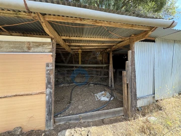 Terreno Agricola ou Rústico para Venda em Alfandega da Fe
