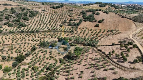 Terreno Agricola ou Rústico para Venda em Alfandega da Fe