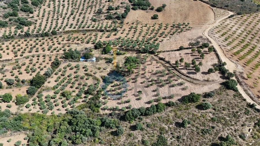 Terreno Agricola ou Rústico para Venda em Alfandega da Fe Foto 2