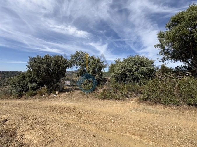 Terreno Agricola ou Rústico para Venda em Alfandega da Fe Foto 8