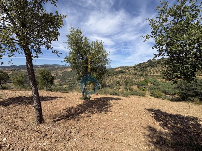 Terreno Agricola ou Rústico para Venda em Alfandega da Fe Foto 10