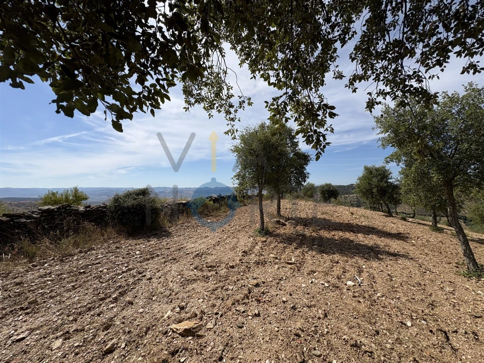 Terreno Agricola ou Rústico para Venda em Alfandega da Fe Foto 9