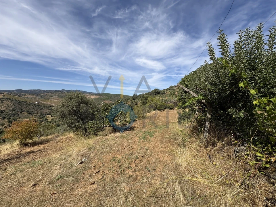 Terreno Agricola ou Rústico para Venda em Alfandega da Fe Foto 13