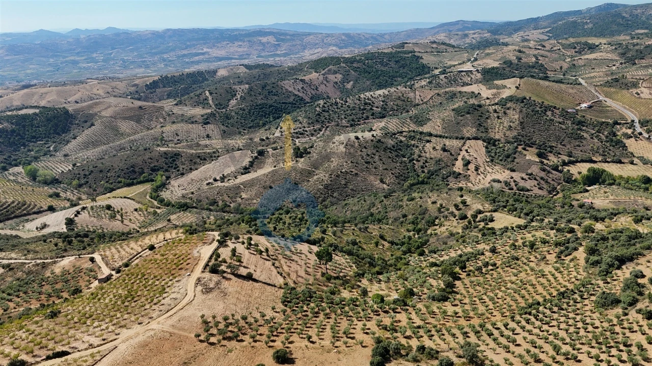 Terreno Agricola ou Rústico para Venda em Alfandega da Fe Foto 3