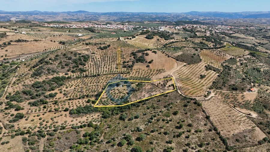 Terreno Agricola ou Rústico para Venda em Alfandega da Fe