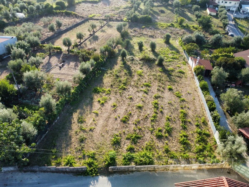 Terreno para Venda em São João de Lourosa Foto 1