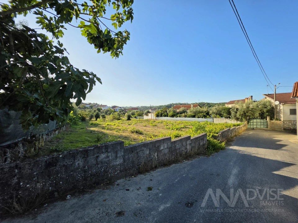 Terreno para Venda em São João de Lourosa Foto 5