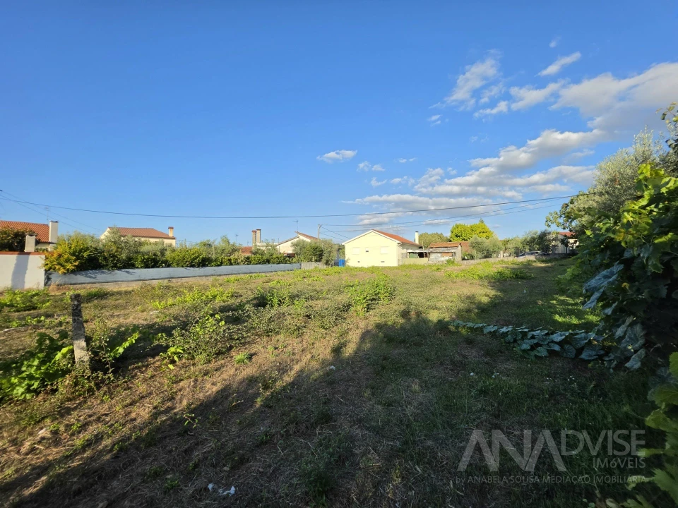 Terreno para Venda em São João de Lourosa Foto 7