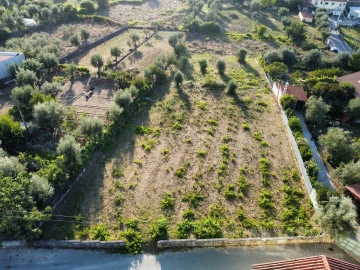 Terreno para Venda em São João de Lourosa