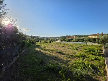 Terreno para Venda em São João de Lourosa