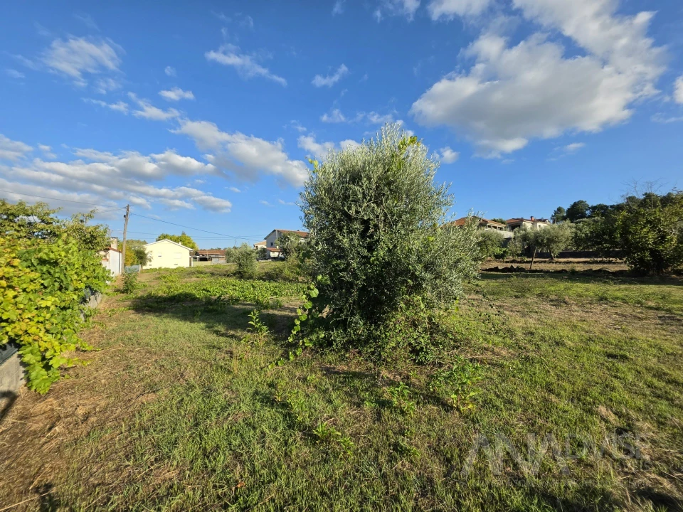 Terreno para Venda em São João de Lourosa Foto 8