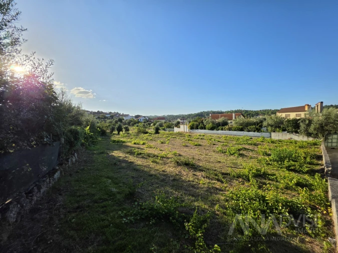 Terreno para Venda em São João de Lourosa Foto 6