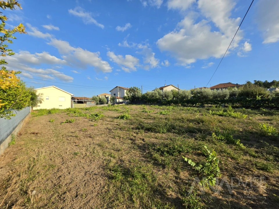 Terreno para Venda em São João de Lourosa Foto 3