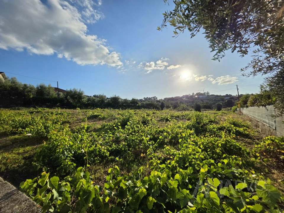 Terreno para Venda em São João de Lourosa Foto 11