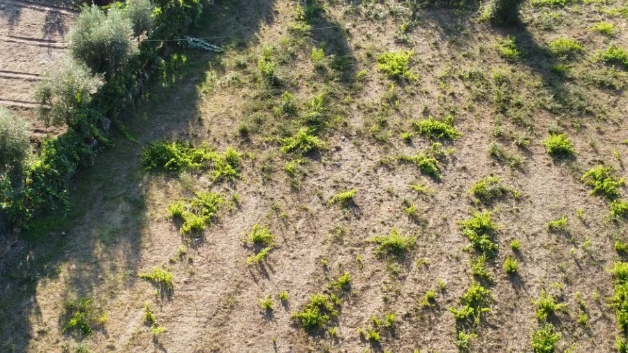 Terreno para Venda em São João de Lourosa