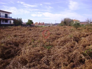 Terreno para Venda em Bela