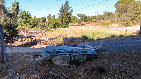 Terreno para Venda em Mora
