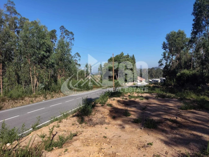 Terreno para Venda em São Miguel do Souto e Mosteirô Foto 4