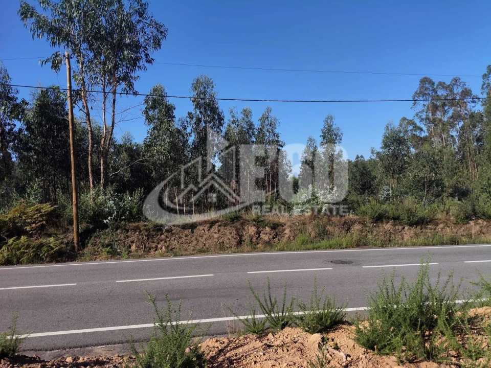 Terreno para Venda em São Miguel do Souto e Mosteirô Foto 3