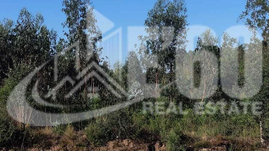 Terreno para Venda em São Miguel do Souto e Mosteirô