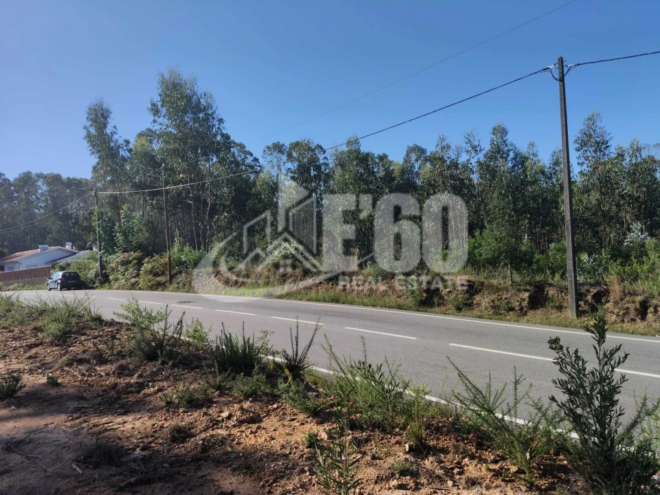 Terreno para Venda em São Miguel do Souto e Mosteirô Foto 5