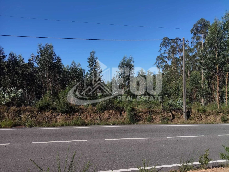 Terreno para Venda em São Miguel do Souto e Mosteirô Foto 1