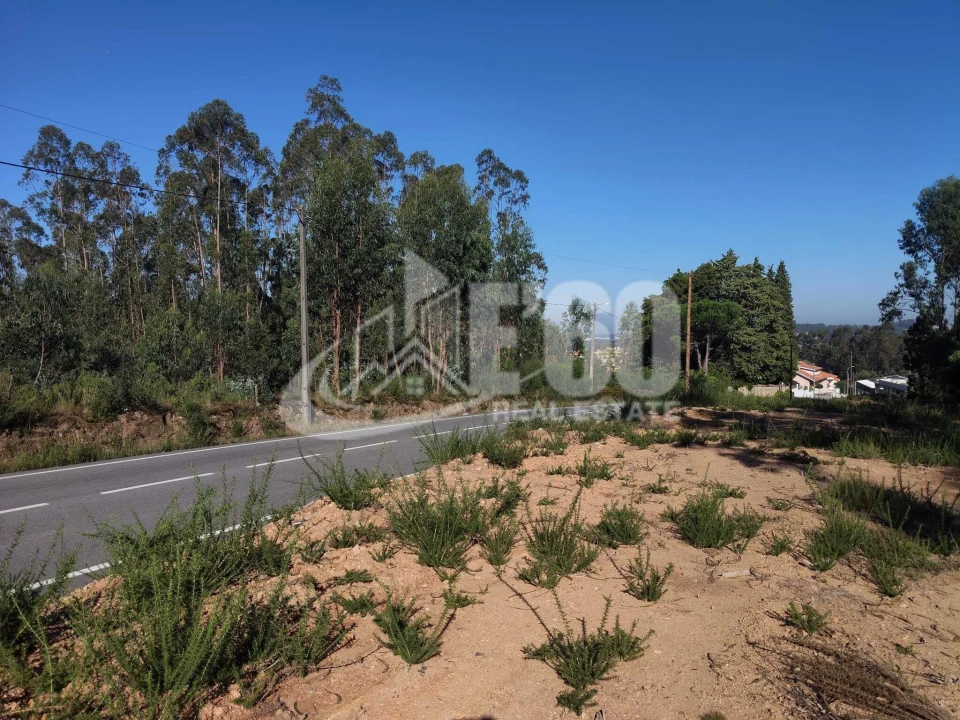Terreno para Venda em São Miguel do Souto e Mosteirô Foto 7