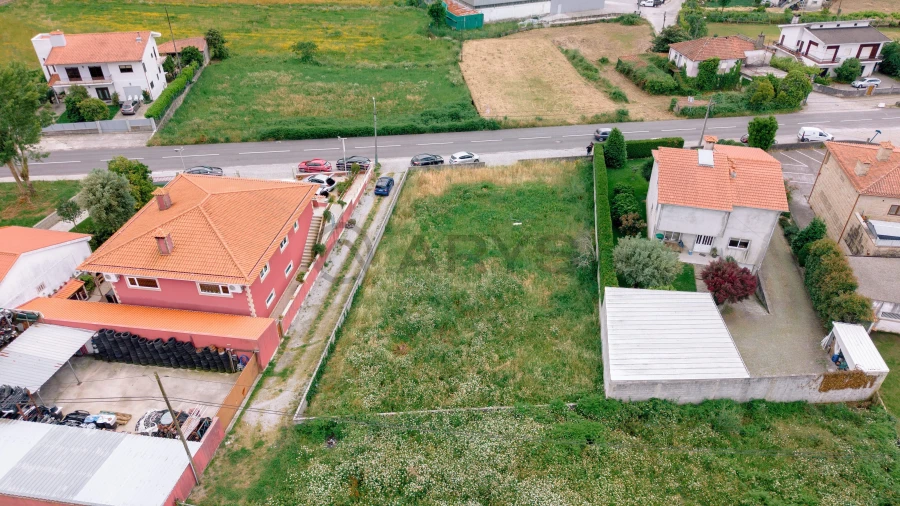 Terreno para Venda em Martim Foto 19