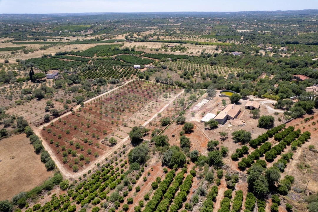 Quinta T5 para Venda em São Bartolomeu de Messines Foto 6