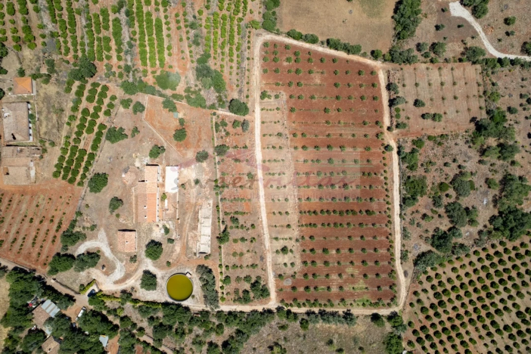 Quinta T5 para Venda em São Bartolomeu de Messines Foto 10