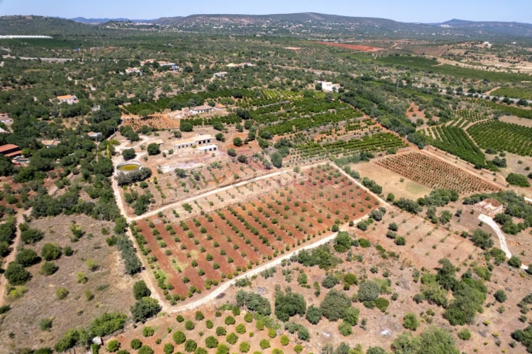 Quinta T5 para Venda em São Bartolomeu de Messines Foto 4